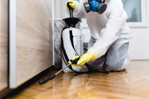Best Cockroach Control Services  in Mill City, OR