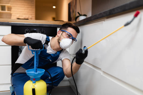 Best Pest Control for Homes  in Mill City, OR