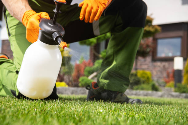Best Commercial Pest Control Services  in Mill City, OR