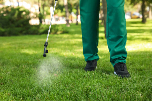 Best Commercial Pest Control Services  in Mill City, OR