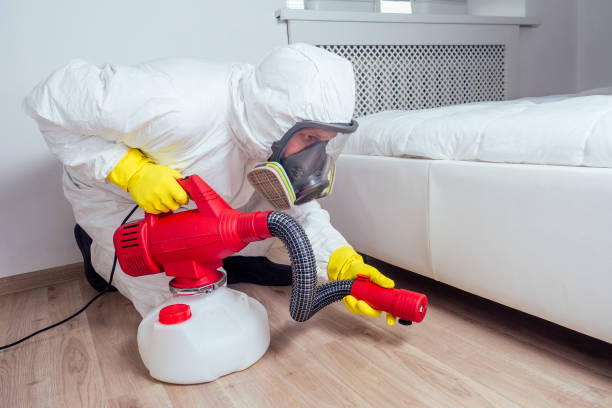 Best Residential Pest Control  in Mill City, OR