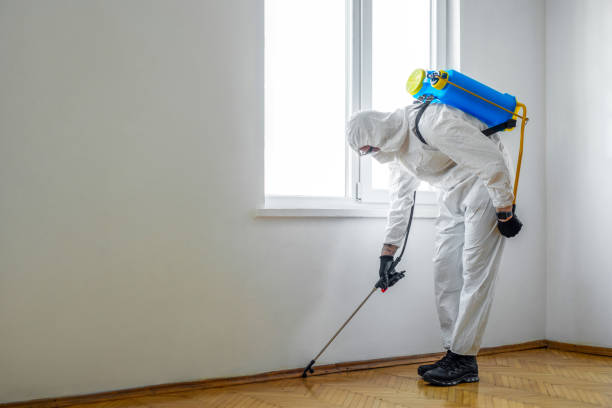Best Pest Prevention Services  in Mill City, OR