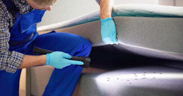 Professional Pest Control in Mill City, OR