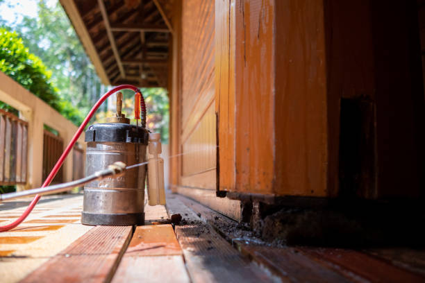 Best Affordable Pest Control Services  in Mill City, OR