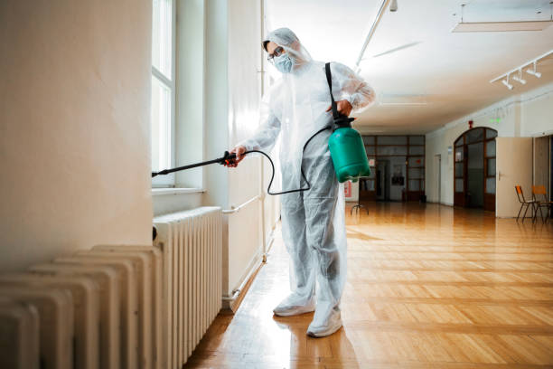 Best Affordable Pest Control Services  in Mill City, OR