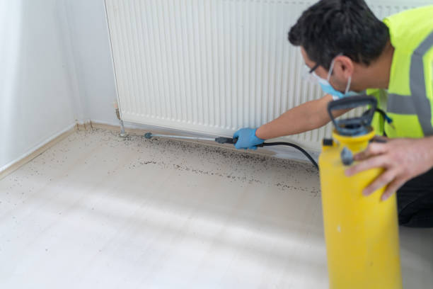 Best Affordable Pest Control Services  in Mill City, OR