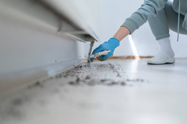 Best Bed Bug Extermination  in Mill City, OR